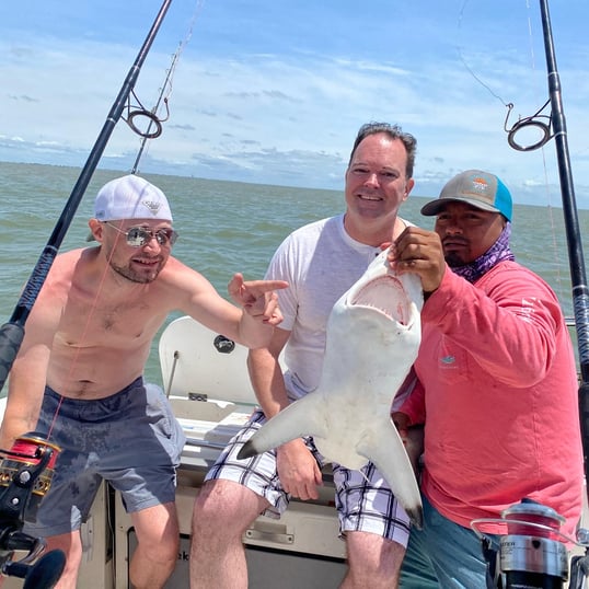 galveston shark fishing