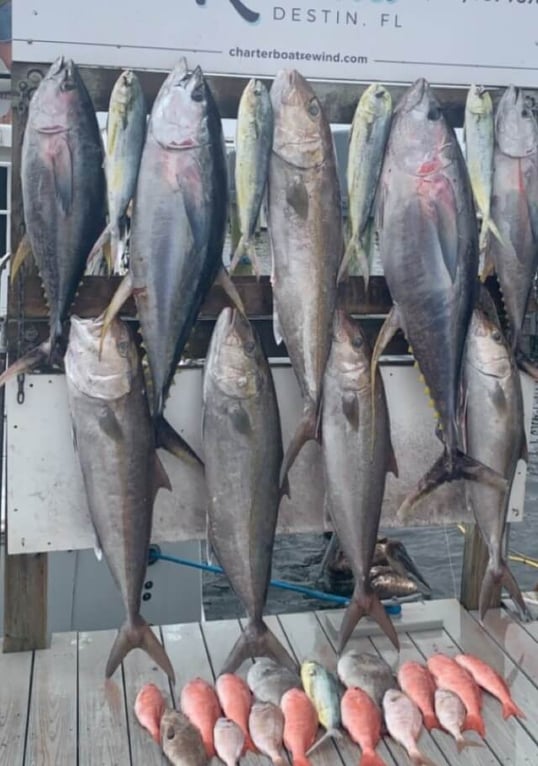 destin fishing charter