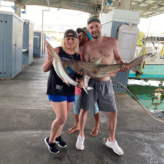 galveston shark fishing charter