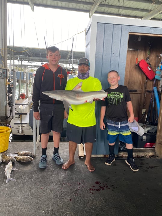 galveston shark fishing report