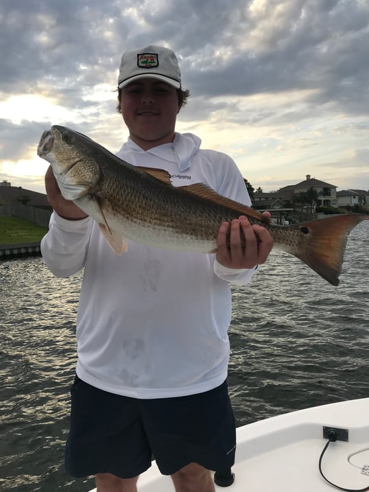 galveston inshore fishing trips
