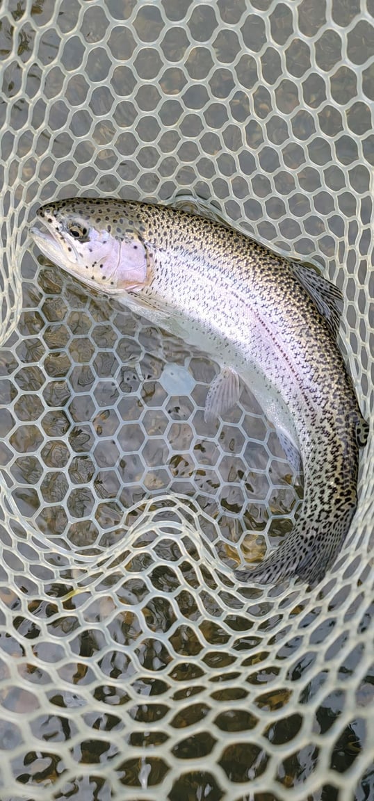 broken bow fishing trip