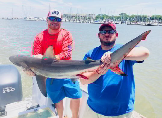 hilton head fishing charters sea pines