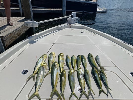 pensacola fishing charters