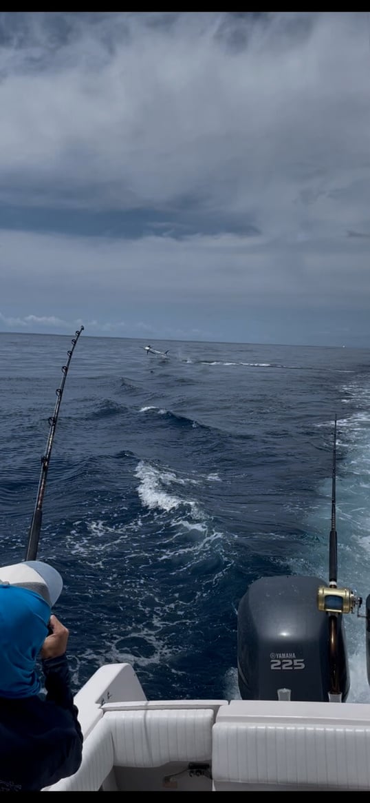 daytona beach fishing trips