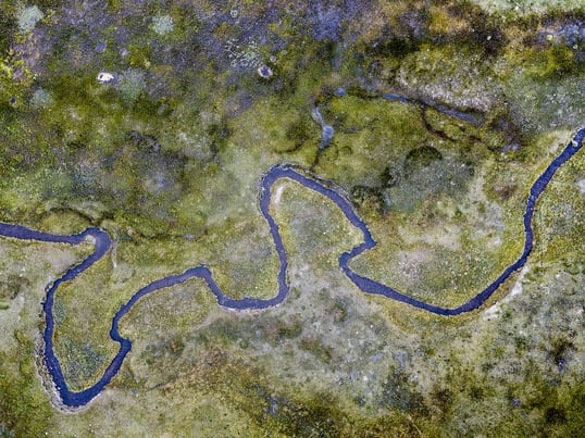 new mexico fishing guides