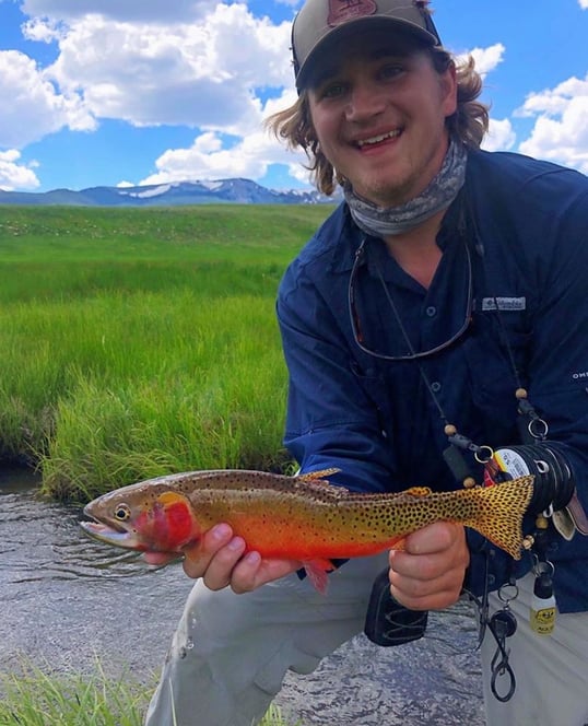 vermejo lodge new mexico