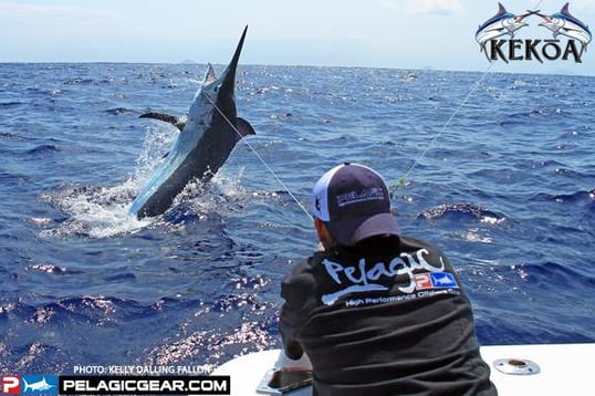 florida tarpon fishing guides