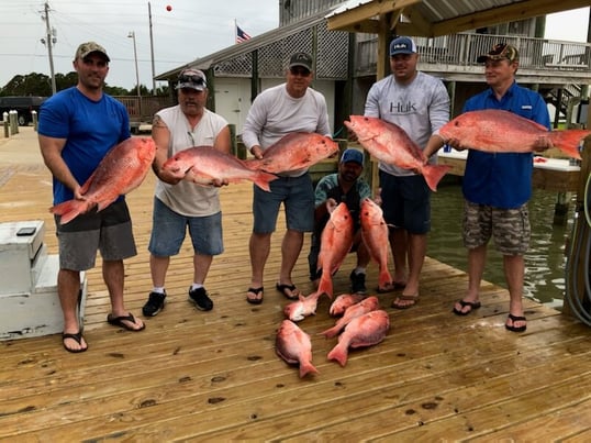 dauphin island fishing trip