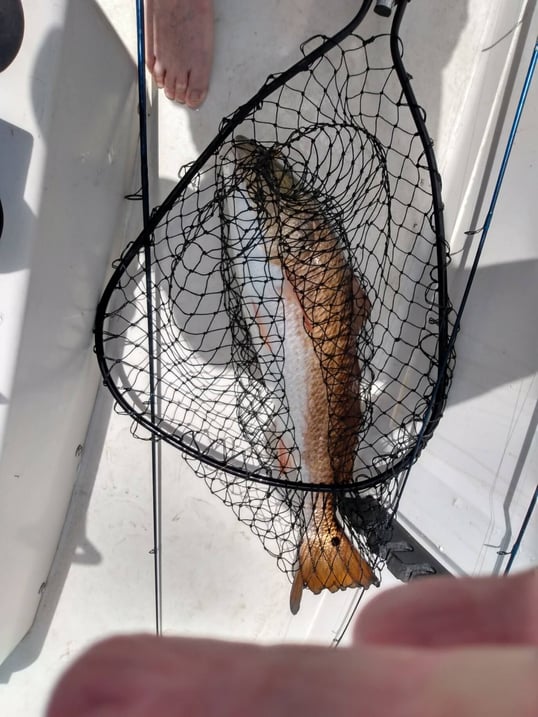destin fishing guide