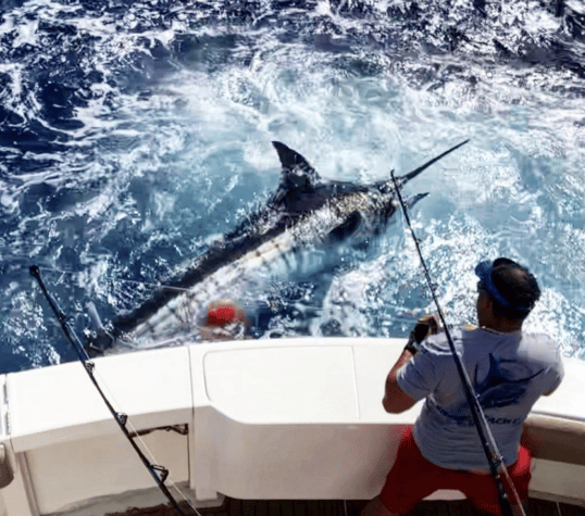 san juan fishing charters