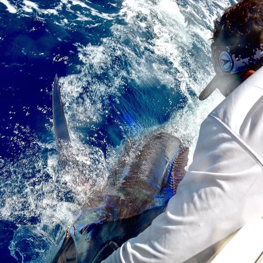 san juan fishing trips