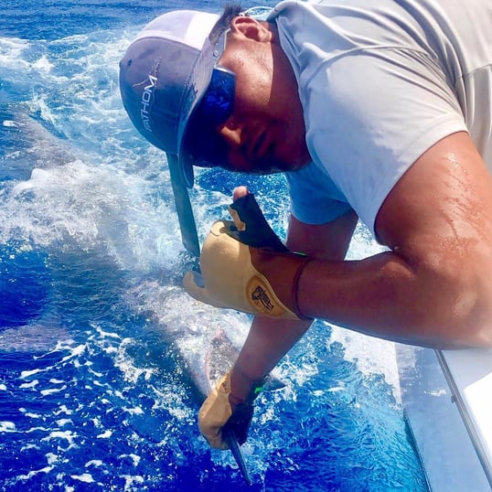 san juan fishing guides