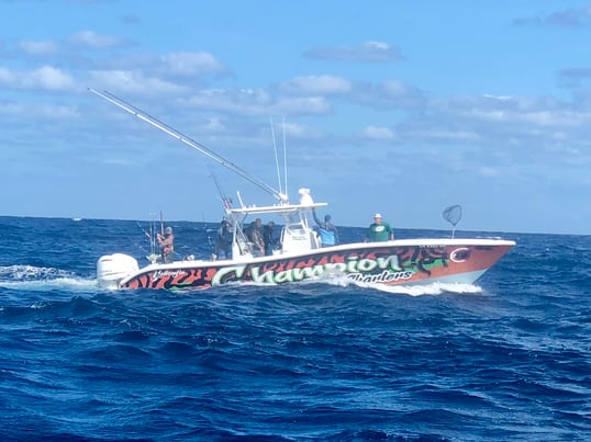 venice fishing trips