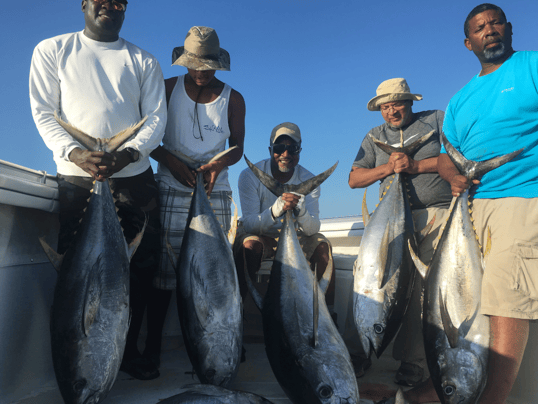 venice tuna fishing charters