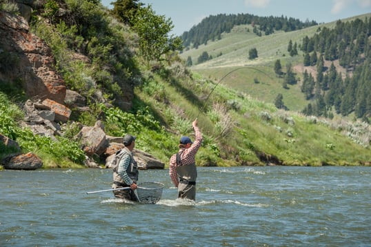 bozeman montana fly fishing