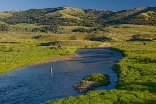 montana trout fishing