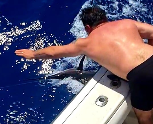 galveston fishing charters13