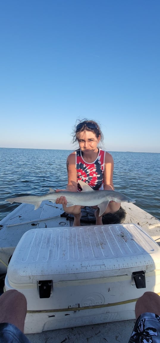 rockport fishing charters16