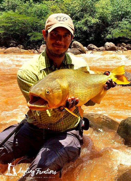 golden dorado fly fishing