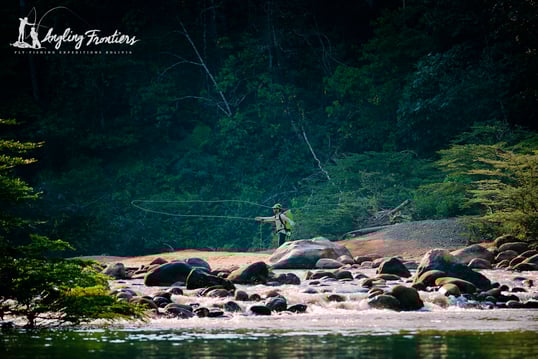 bolivia golden dorado