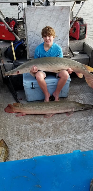 allligator gar catch