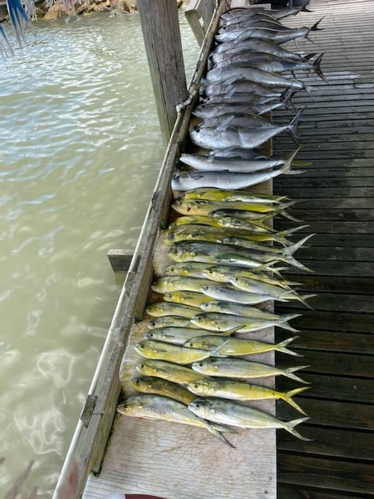 matagorda fishing trip