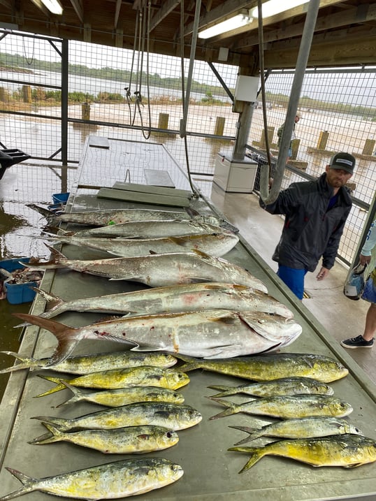 texas deep sea fishing trips