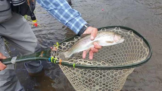 breckenridge fishing trip