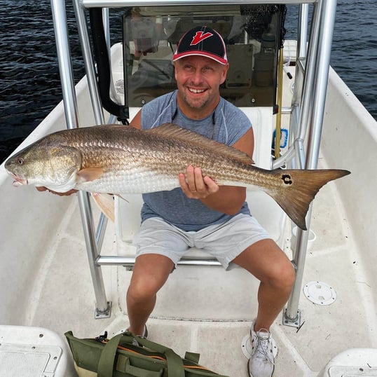 panama city beach fishing trip