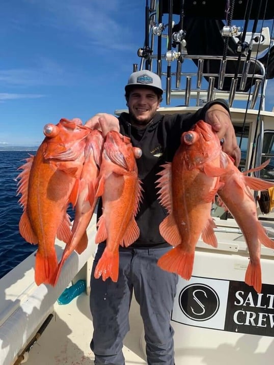 rockfish captain experiences charter
