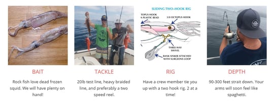 Rockfish fishing San Diego