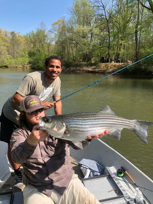 helen georgia fly fishing
