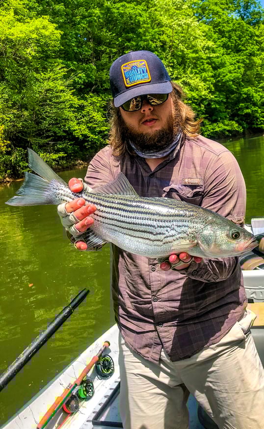 north georgia fly fishing cabins