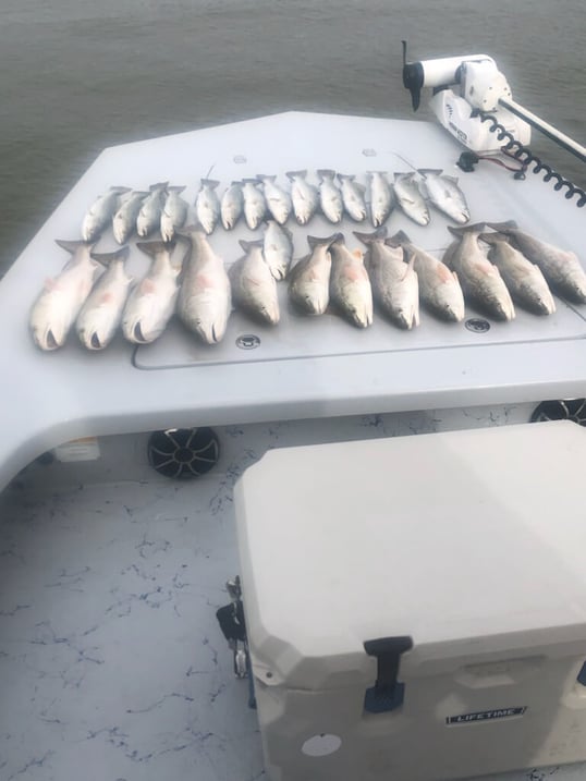 rockport fishing trip2