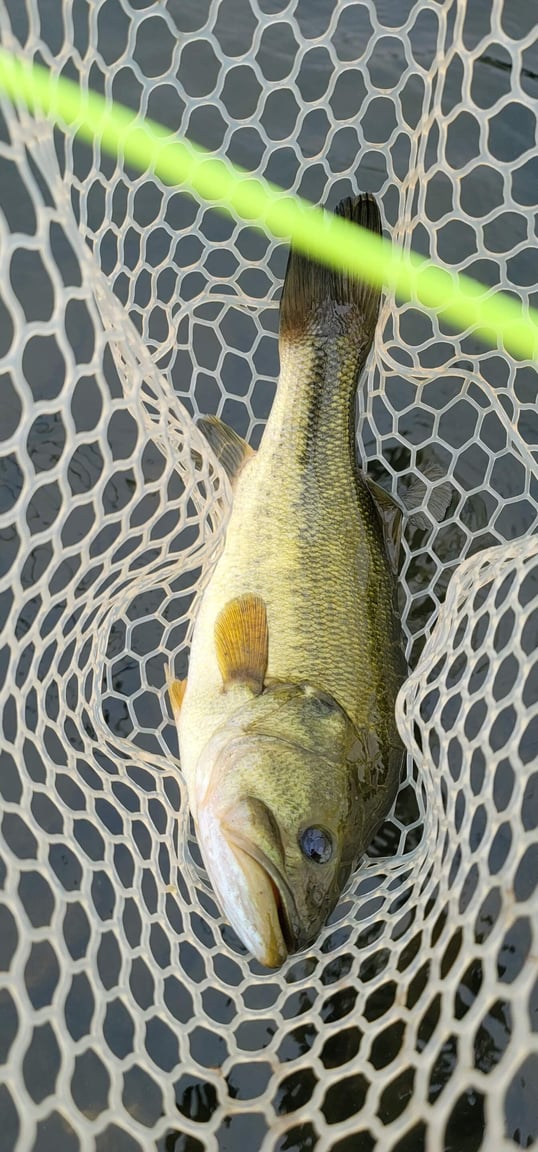 broken bow fishing trip