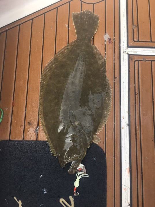 chatham fishing trip1