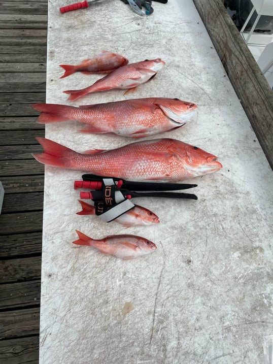 destin fishing trip5