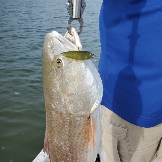 rockport fishing trips