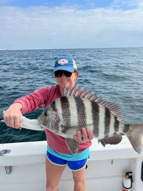 gulf shores sheepshead