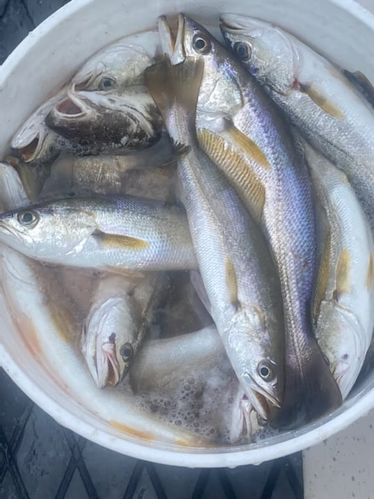 biloxi fishing trip1