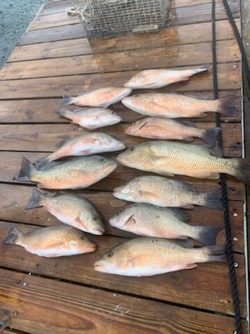 key west fishing trip4