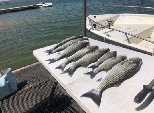 lake buchanan fishing trip