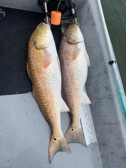 port o connor fishing trip1