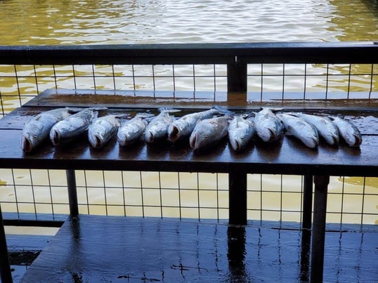 texas city fishing trip