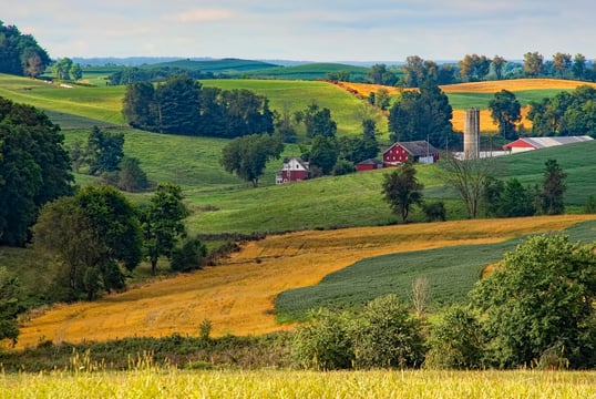 Farm Field In Ohio