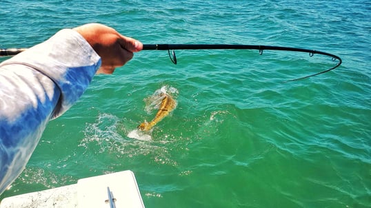 morehead city fishing trip1