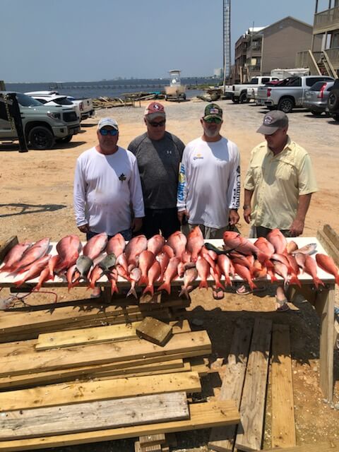 pensacola fishing trip6