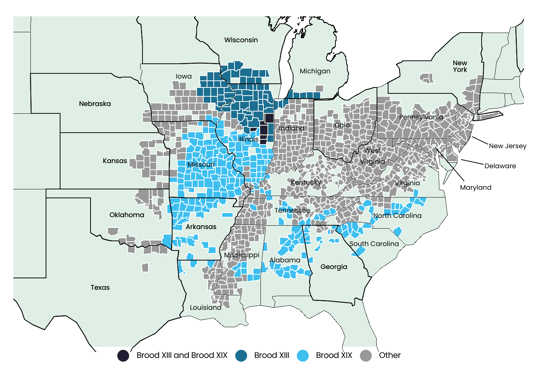 The 2024 Cicada Double Brood Map