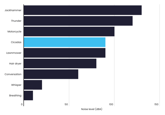 Cicada Noise Level Chart